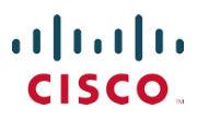 Cisco advanced networking components